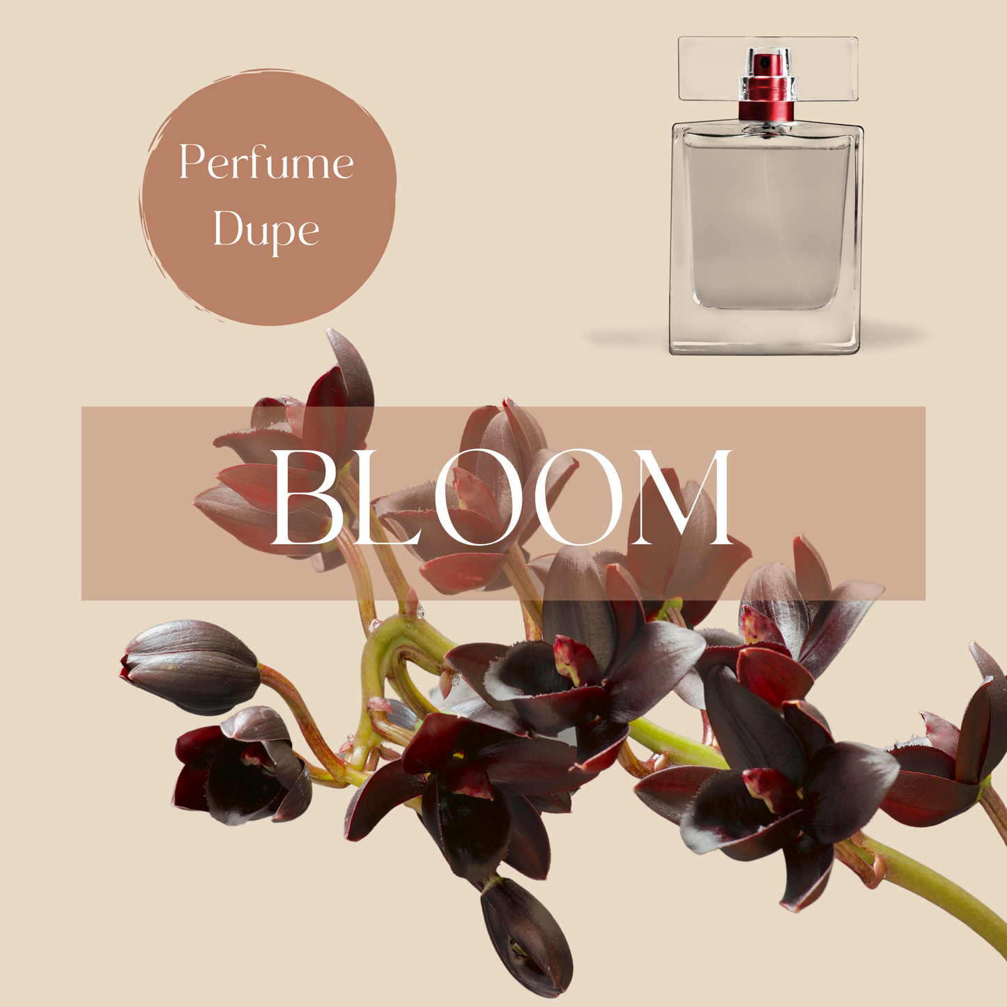BLOOM | Black Orchid Candle