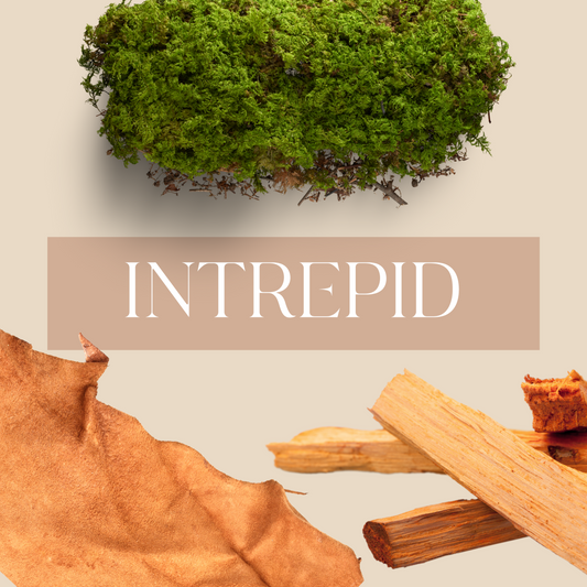Intrepid | Sandalwood & Vetiver soy wax scented candle