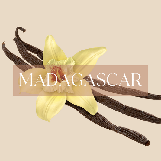 MADAGASCAR | Vanilla Candle